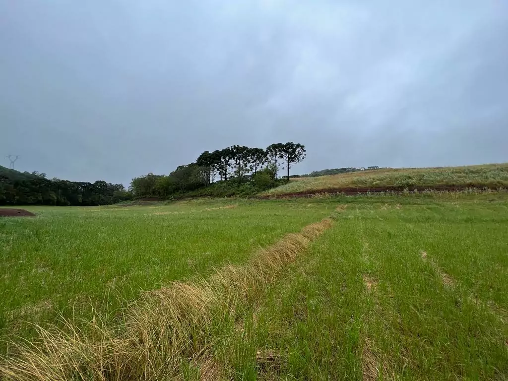 Comprar - Terreno